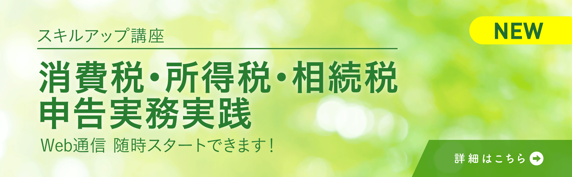 消費税・所得税・相続税　申告実務実践