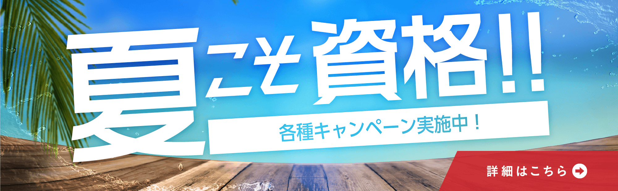 夏こそ資格！！　各種キャンペーン実施中！